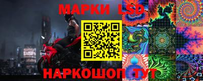 spice Шелехов