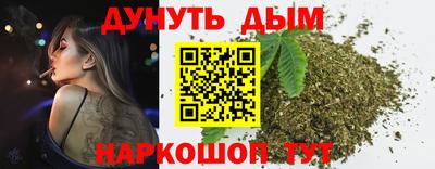 гидра Шахты