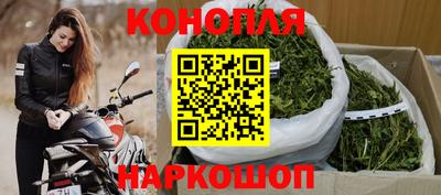 гидра Шахты