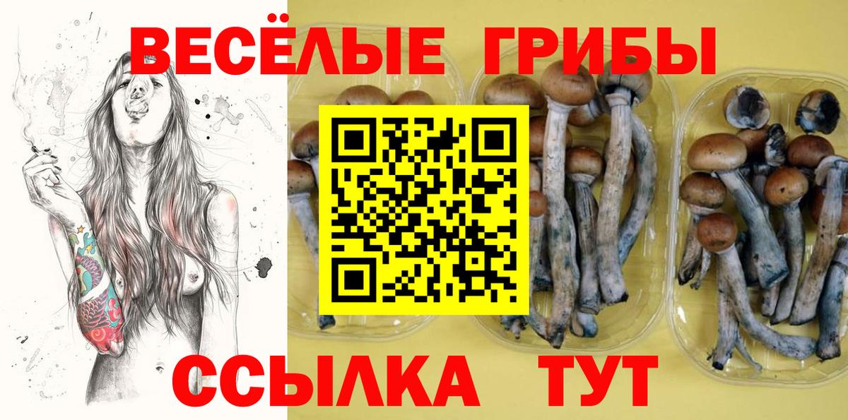 Барнаул  Псилоцибиновые грибы прущие грибы  Вход с VPN  Галлюциногенные грибы мухоморы 